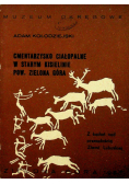 Cmentarzysko ciałopalne w starym Kisielinie