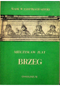 Brzeg
