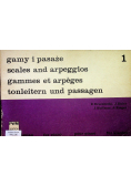 Gamy i pasaże 1