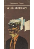 Wilk stepowy