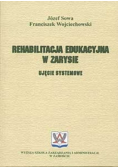 Rehabilitacja edukacyjna w zarysie ujęcie systemowe