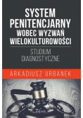 System penitencjarny wobec wyzwań wielokulturowości