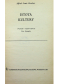 Istota kultury