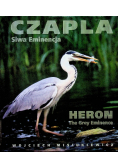 Czapla Siwa Eminencja