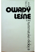 Owady leśne systematyka i ekologia