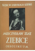 iębice