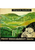 Wśród bieszczadzkich lasów