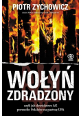 Wołyń zdradzony. czyli jak dowództwo AK..