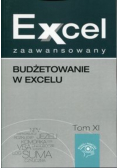 Excel zaawansowany Budżetowanie w excelu Tom XI