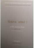 Góra stoi