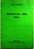 Wielkostadny chów bydła