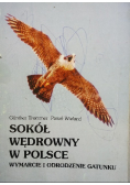 Sokół Wędrowny w Polsce