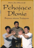 Pchające Dłonie Bojowa strona Taijiquan