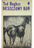 Deszczowy koń i inne opowiadania