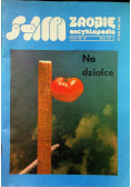Sam zrobię encyklopedia