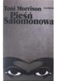 Pieśń Salomonowa