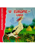 Zwierzaki Dzieciaki W Europie Łąka