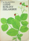 Leśne rośliny zielarskie