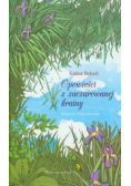 Opowieści z zaczarowanej krainy