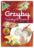 Grzyby naszych lasów
