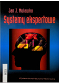 Systemy ekspertowe