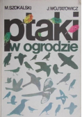 Ptak w ogrodzie