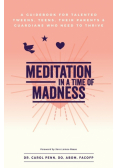 Meditation in a Time of Madness