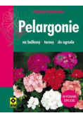 Pelargonie Na balkony tarasy do ogrodu