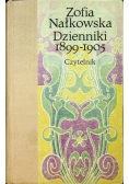 Dzienniki 1899 - 1905
