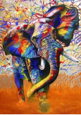 Puzzle 1000 Afrykańskie kolory