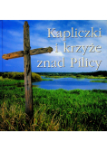 Kapliczki i krzyże znad Pilicy