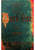 Dark Fire