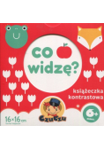 Co widzę
