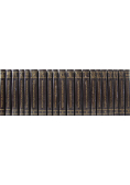 New Standard Encyclopedia tom 1 do 20