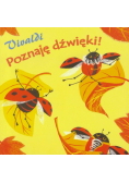 Poznaję dźwięki! Vivaldi