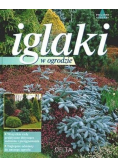 Iglaki w ogrodzie