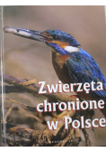 Zwierzęta chronione w Polsce