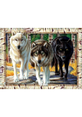 Puzzle 1000 Wilki