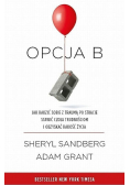 Opcja B