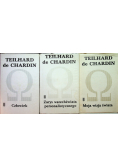 Chardin Pisma 3 tomy