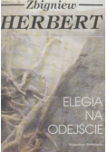 Elegia na odejście