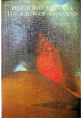 The Birth of a Volcano