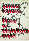 Pióro w zasiekach męki