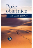 Boże obietnice na czas próby
