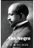 The Negro