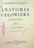 Anatomja człowieka Tom 2 1927 r.