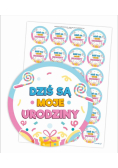 Naklejki urodzinowe - Dziś są moje urodziny 24szt