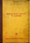 Metalurgia żelaza w zarysie