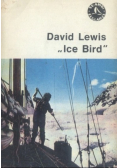 Ice Bird