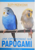 Jak opiekować się papugami